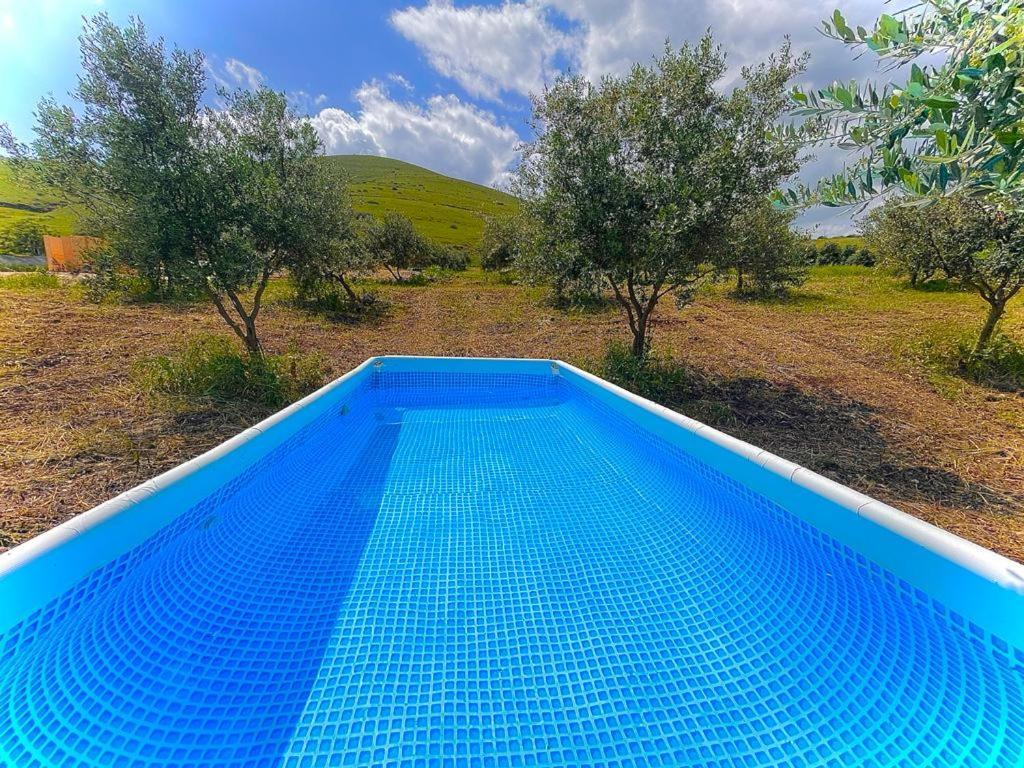 Olive Dome - כיפה גיאודזית ענקית ומודרנית בין עצי הזית Hotel Yavne'el Bagian luar foto